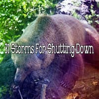 31 Storms for Shutting Down