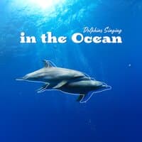 Dolphins Singing in the Ocean: Relaxation & Sleep Mood Music