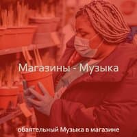 Магазины - Музыка