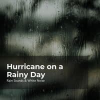 Hurricane on a Rainy Day