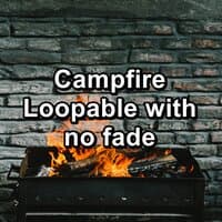 Campfire Loopable with no fade