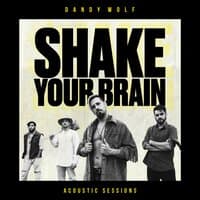 Shake Your Brain