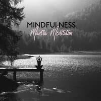 Mindfulness Mantra Meditation – Summer Meditation Experience