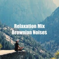 Relaxation Mix Brownian Noises