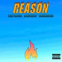 Reason