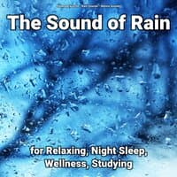 The Sound of Rain for Relaxing, Night Sleep, Wellness, Studying