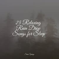 25 Relaxing Rain Drop Songs for Sleep