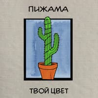 Твой цвет