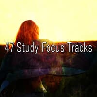 47 Study Focus Tracks