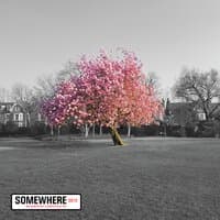 Song for Everyone / Somewhere