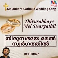 Thirusabhaye Mel Swargathil - Single