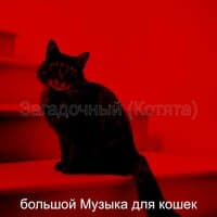 Загадочный (Котята)