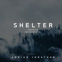 Shelter