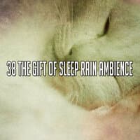 38 The Gift of Sleep Rain Ambience