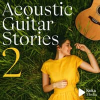 Acoustic Guitar Stories 2