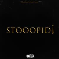 STOOOPID¡