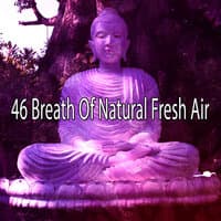 46 Breath of Natural Fresh Air