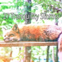 27 Tranquility Storms