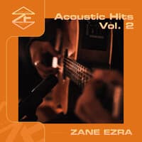 Acoustic Hits, Vol. 2