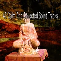 42 Calm and Collected Spirit Tracks