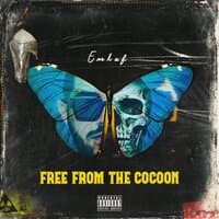 Free From The Cocoon