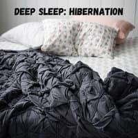 Deep Sleep: Hibernation