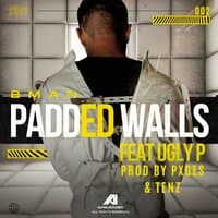 Padded Walls