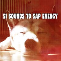 51 Sounds to Sap Energy