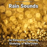 Rain Sounds for Relaxation, Sleeping, Studying, to Wind Down