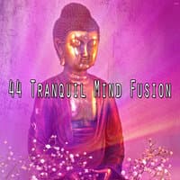 44 Tranquil Mind Fusion