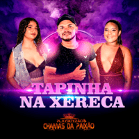 Tapinha Na Xereca