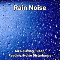 Rain Noise for Relaxing, Sleep, Reading, Noise Disturbance