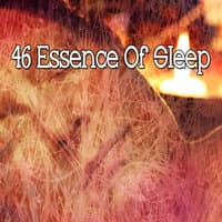 46 Essence of Sleep