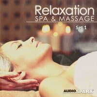 Relaxation Spa & Massage, Set 1