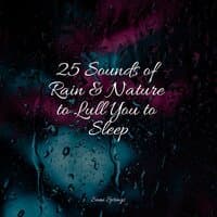 25 Sounds of Rain & Nature to Lull You to Sleep