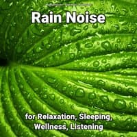 Rain Noise for Relaxation, Sleeping, Wellness, Listening