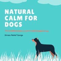 Natural Calm for Dogs - Stress Relief Songs