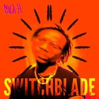 Switchblade