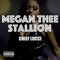 Megan Thee Stallion