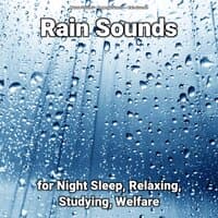 Rain Sounds for Night Sleep, Relaxing, Studying, Welfare