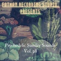 Psychedelic Sunday Sounds, Vol. 28