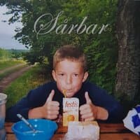 Sårbar