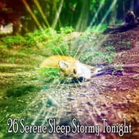 26 Serene Sleep Stormy Tonight