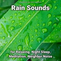 Rain Sounds for Relaxing, Night Sleep, Meditation, Neighbor Noise