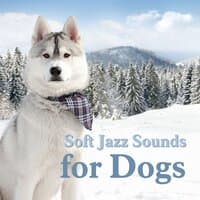 Soft Jazz Sounds for Dogs