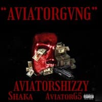 AVIATORGVNG