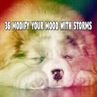 36 Modify Your Mood with Storms