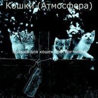 Кошки (Атмосфера)