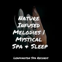 Nature Infused Melodies | Mystical Spa & Sleep