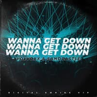 Wanna Get Down